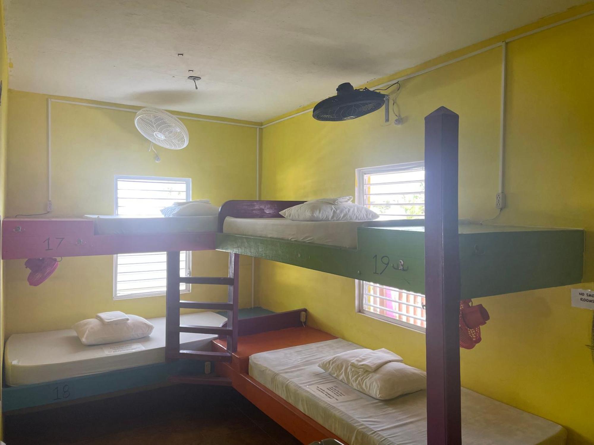 Hostel Travellers Palm Backpackers Caye Caulker Exterior foto