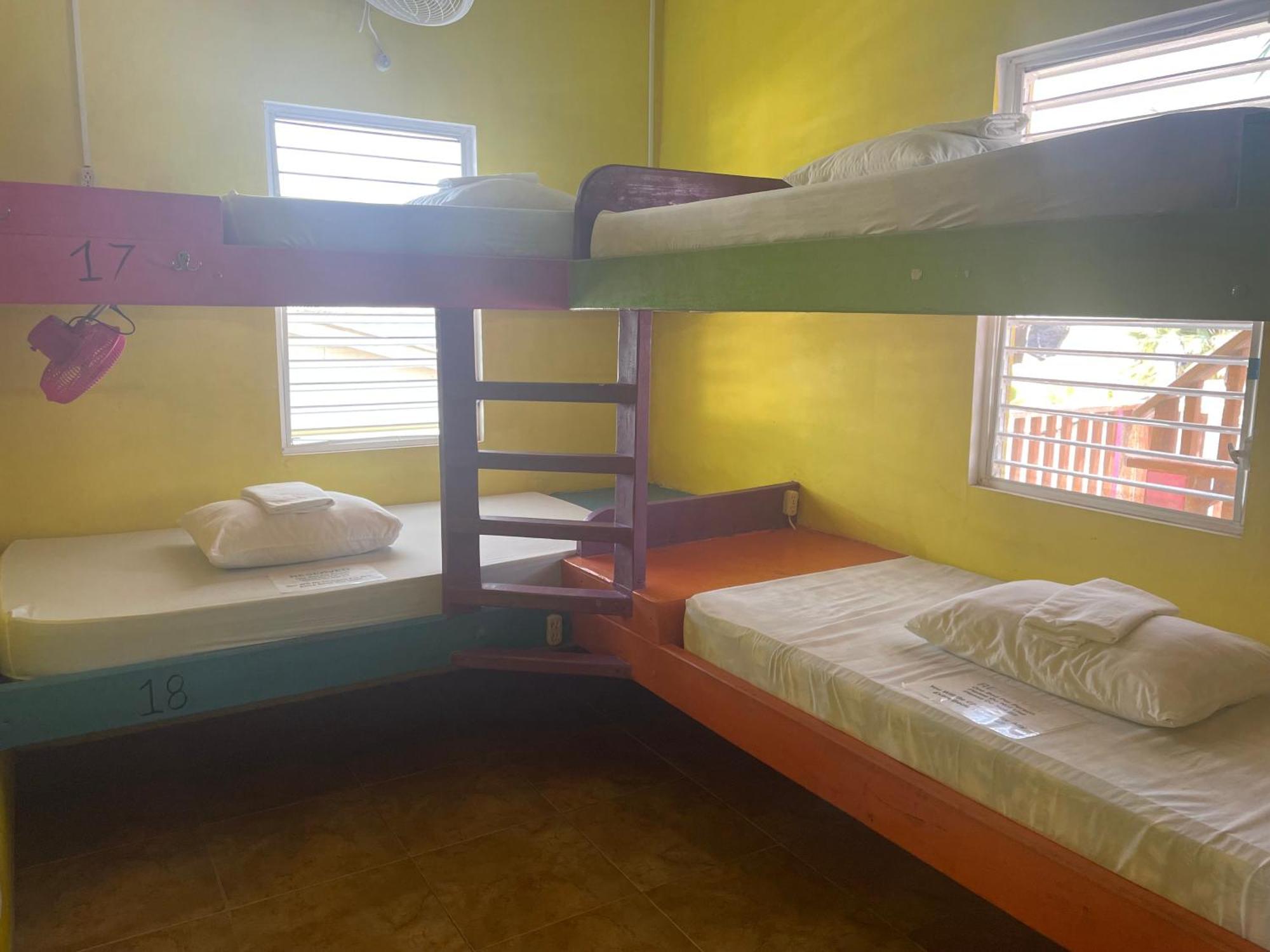 Hostel Travellers Palm Backpackers Caye Caulker Exterior foto